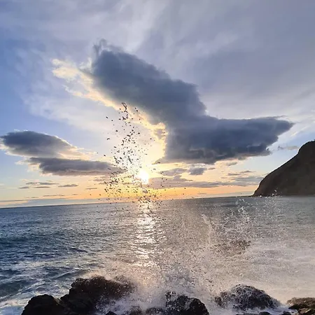 L'etoile 斯培西亚