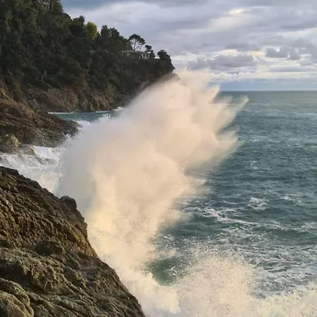 L'etoile A 450m Dalla Stazione